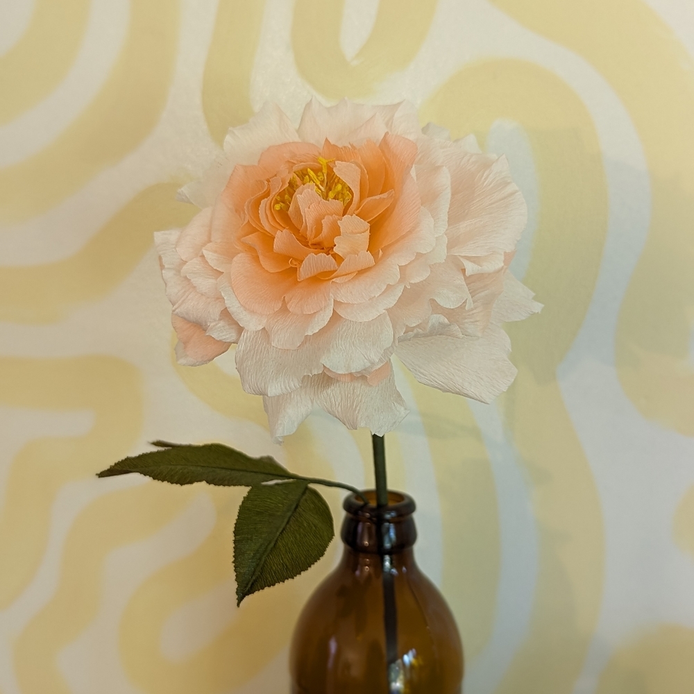Blush Pink Rose